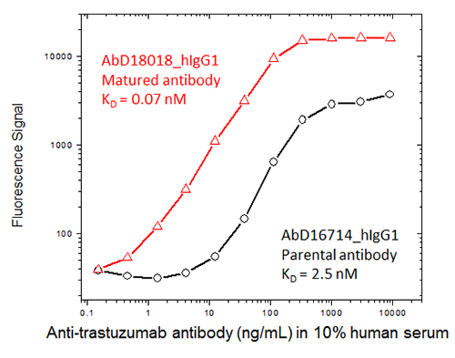 Trastuzumab ADA assay with affinity matured and parental antibodies