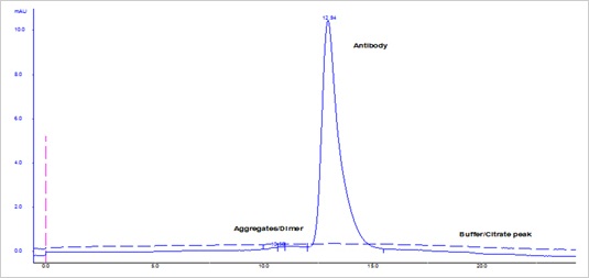 Fig1. Quality check by size exclusion chromatography of recombinant human IgG2/kappa