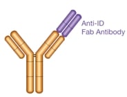 Type 1, inhibitory anti-idiotypic antibodies for measuring free drug