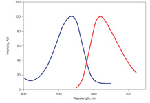 Excitation and Emission Spectra. Excitation and Emission Spectra of PI. Maximal excitation is 538nm (blue) and maximal emission is 617nm (red).