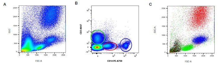 Fig. 18. Backgating to identify leukocyte subsets. Red cell lyzed whole blood A. was stained for CD3 and CD14 B. Cells in the green, blue and red gates were backgated onto FSC vs. SSC to confirm leukocyte populations C.