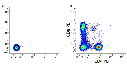 Human lymphocyte unstained flow cytometry control