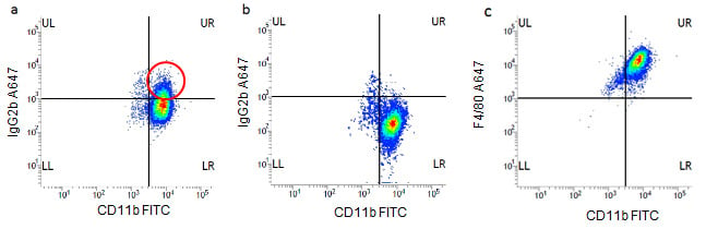 Fig 1. J774 macrophages were stained for 30 minutes at 4oC in PBS w/v1%BSA with CD11b FITC (MCA74F) and IgG2b Alexa Fluor®647 (MCA6006A647) a). 