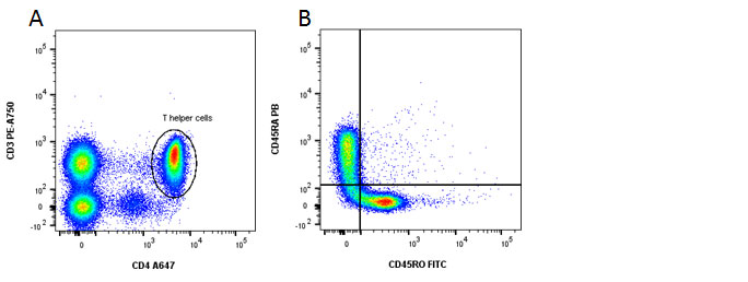 Fig. 3. Identification of memory and naïve CD4 T cells.