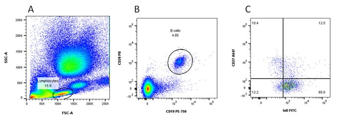 Fig. 5. Naïve and memory B cells.