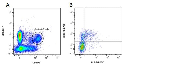 Fig. 2. Identification of activated CD8 T cells.