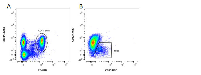 Fig. 4. Identification of regulatory T cells. 
