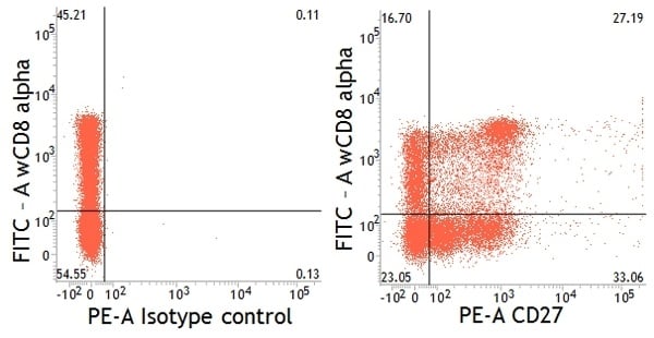 Pig peripheral blood lymphocytes stained with CD27, CD8a