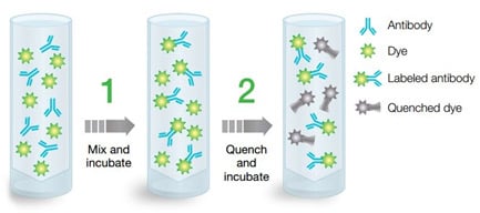 Figure 1. Efficient labeling of antibodies in two easy steps