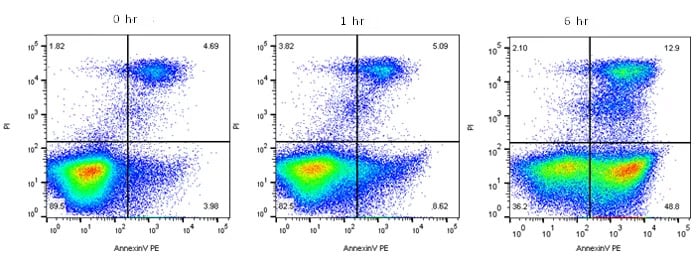 Fig. 5. Annexin V staining to measure apoptosis by flow cytometry. 