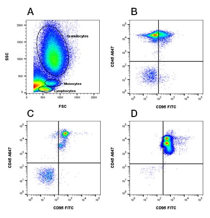 Fig. 1. CD95 expression on peripheral blood populations