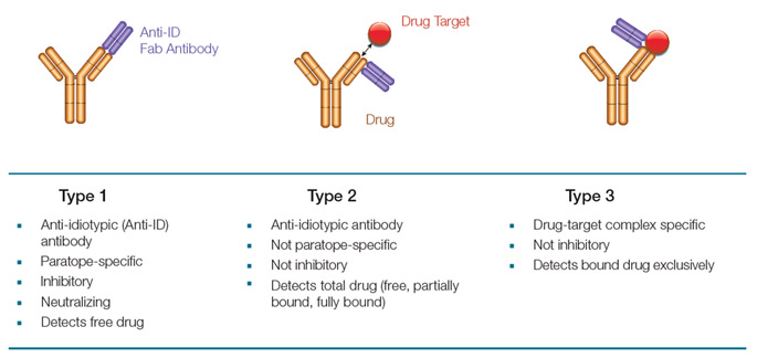 Binding modes and properties of anti-biotherapeutic antibodies generated by Bio-Rad using HuCAL<sup>®</sup> technology.