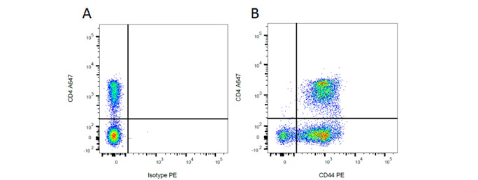 Fig. 1. Flow cytometry analysis of rat makers CD44 and CD4