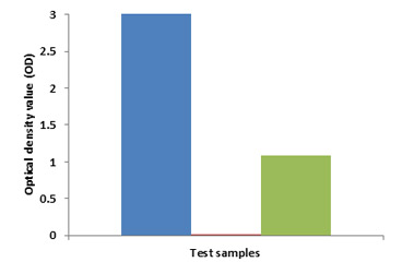 Fig. 1. (b) Test samples containing native or recombinant ovine CXCL8. 