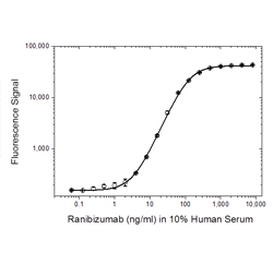 Fig. 1. Ranibizumab PK antigen capture ELISA using antibody HCA304.