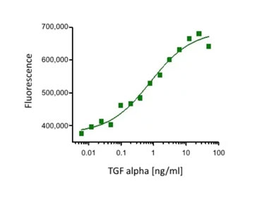 Fig. 1. Proliferative effect of Recombinant Human TGF Alpha (PHP291) demonstrated by performing a cell proliferation assay with human breast cancer cells using alamarBlueReagent (BUF012A)