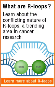 Immunoprecipitation - Products, Protocols, Tips & Tricks | Bio-Rad