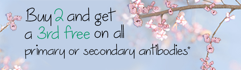 Purchase any 3 primary or secondary antibodies in a single order and receive the least expensive item free of charge.