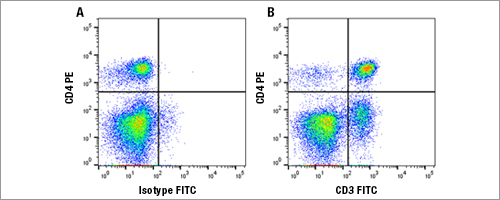 Flow Cytometry - RPE conjugated Rat Anti-Dog CD4 (MCA1038PE) and Mouse IgG1 Isotype Control (MCA928) labeled with Goat Anti-Mouse FITC (STAR117F). 
