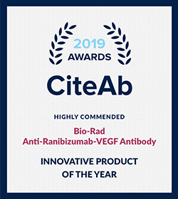 CiteAb 2019 Awards - Highly Commended Innovative Product of the Year - Bio-Rad's Anti-Ranibizumab-VEGF Antibody