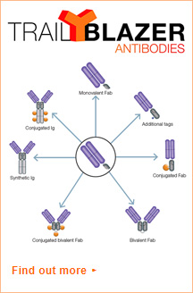 TrailBlazer Antibodies