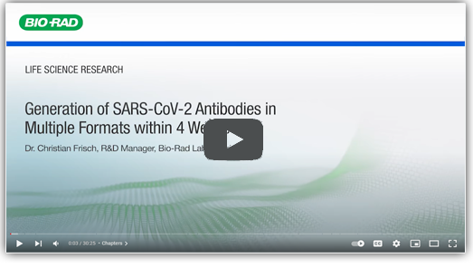 Generation of SARS-CoV-2 Antibodies in Multiple Formats within Four Weeks