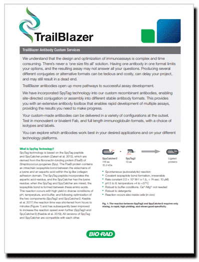 TrailBlazer Antibody Custom Services