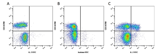 Fig. 2. Flow cytometry analysis of CD3 expression. 