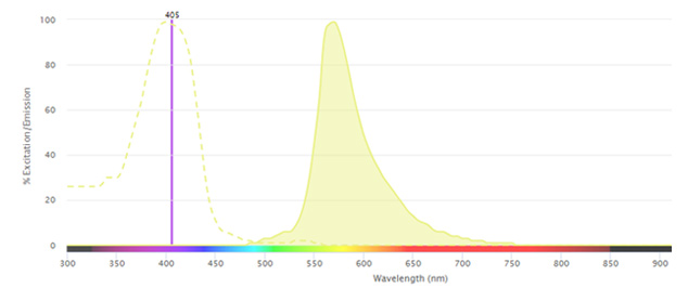 Fig. 1. Excitation and emission spectra for SBV570
