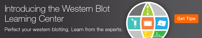 Introducing the Western Blot Learning Center