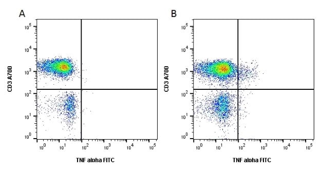 Treatment of lymphocytes with cell stimulation reagent increases the expression of IFN gamma