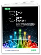 5 Steps to Flow Success