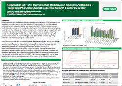 Generation of Recombinant Ani-EGF R and Anti-EGF R pTyr1045 Poster