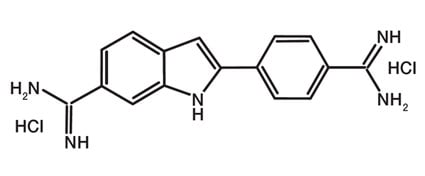 Molecular structure of PureBlu DAPI Nuclear Staining Dye.