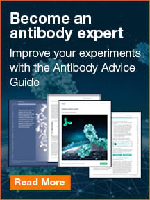Antibody Advice Guide