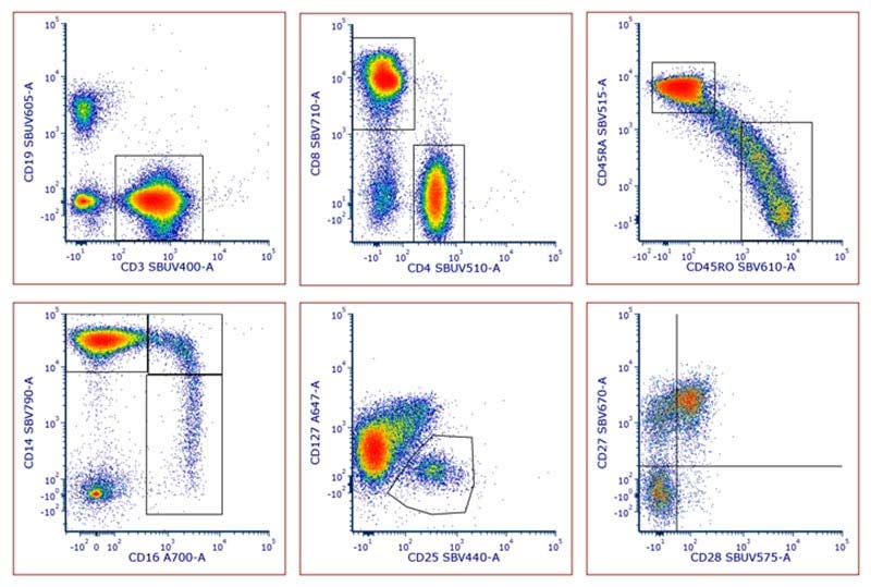 Fig. 5. Examples of staining of common immunophenotyping markers using StarBright Dyes