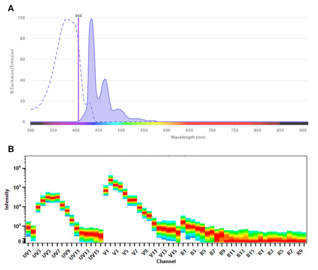 Fig. 1. SBV440 A. Conventional spectra. 
