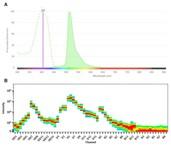 Fig. 1. SBV515 A. Conventional spectra.