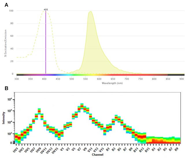 Fig. 1. SBV570 A. Conventional spectra.