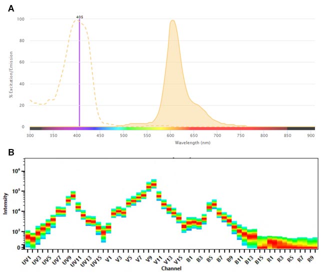 Fig. 1. SBV610 A. Conventional spectra. 