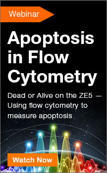 Webinar: Apoptosis in flow cytometry