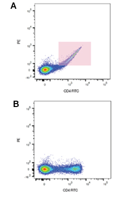 Fig. 1. Fluorescence compensation corrects for spectral overlap. Peripheral blood was singly stained with CD4 FITC. When compensation was not applied, fluorescence spillover can be seen (A), which is removed after compensation (B).