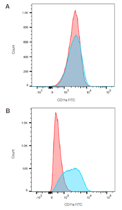 Fig. 1. Fc blocking. THP-1 cells stained with mouse anti human CD11a (blue) or mouse IgG2a isotype control (MCA929F) (red) in the absence (A) and presence (B) of human Seroblock (BUF070A).