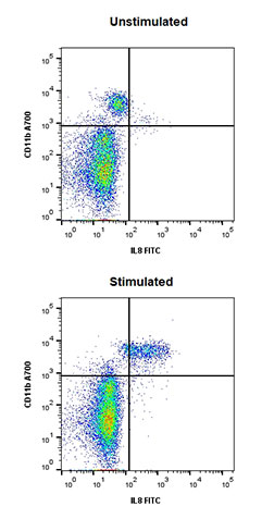 Fig.1. Use of a positive control. Human peripheral blood was stained for IL-8 (MCA2709F) and CD11b A700 (MCA551A700). Cells were gated on mononuclear cells, the monocytes expressed IL-8 following stimulation with LPS for 5 hours.