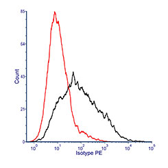 Fig. 1. Mouse bone marrow cells were stained with PE conjugated Rat IgG2b Isotype control (MCA6006PE) in the absence (black histogram) or presence (red histogram) of SeroBlock FcR (BUF041B).