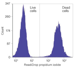 Fig. 2. Staining of a mixture of live and heat killed Jurkat cells with ReadiDrop Propidium Iodide for 1 min prior to analysis