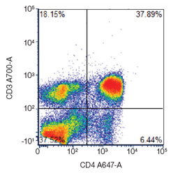 Staining rat lymphocytes. Viable cells were identified by PI (1351101) staining. Rat peripheral blood was stained with CD3 A700 (MCA772A700) and CD4 A647 (MCA55A647) and gated on lymphocytes to identify T cells. Data was acquired on the ZE5 Cell Analyzer. 