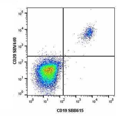 Fig.1. Staining of human lymphocytes with StarBright Violet 440 conjugated Mouse anti Human CD20 (MCA1710SBV440) and StarBright Blue 615 conjugated Mouse anti Human CD19 (MCA1940SBB615). 
