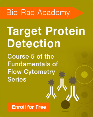 Target Protein Detection -  Course 5 of the Fundamentals of Flow Cytometry Series
