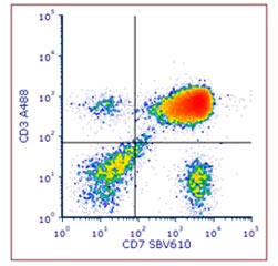 Fig. 2. Staining of human peripheral blood with anti-Human CD7 biotin: StarBright Violet 610 streptavidin and Anti-CD3 Alexa Fluor 488. 